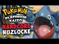 Briefcase Simulator | Platinum Kaizo