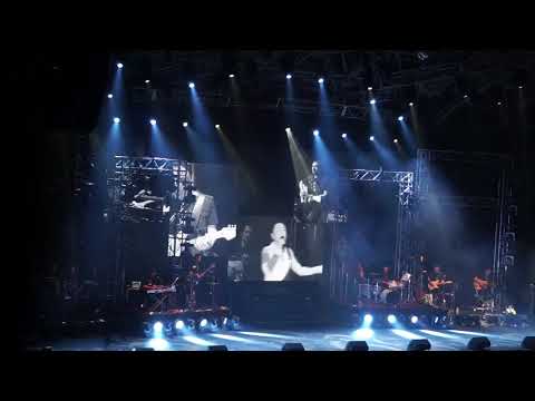 张信哲《未来式云顶演唱会》雨后