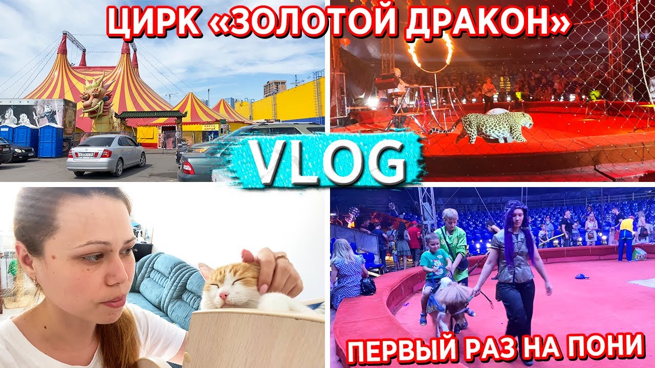 СХОДИЛИ В ЦИРК-ШАПИТО 