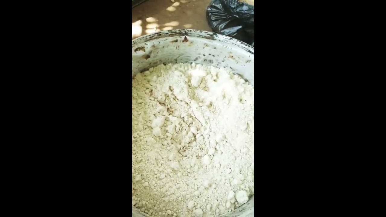 فديو تعليمى عسوله دلكه محلب