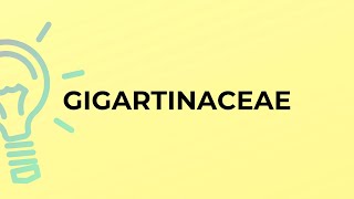 What is the meaning of the word GIGARTINACEAE?