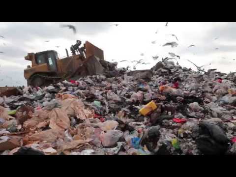 ثم أتى الإنسان مقدمة برنامج خواطر 11