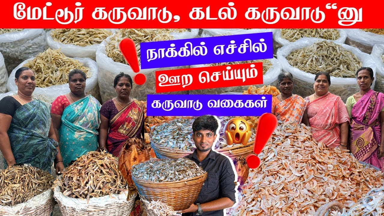 37 ஆண்டுகள் பாரம்பரியமிக்க கருவாட்டு கடை | தமிழ்நாடு மட்டுமின்றி இந்தியா முழுவதும் ஹோம் டெலிவரி 😍