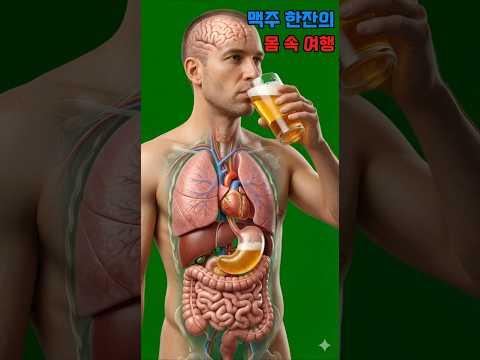 맥주 한잔의 몸속 여행..