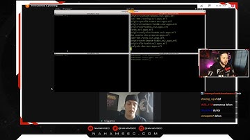Live Recon and Google Dorking on the Department of Defenses Vuln Disclosure Program with @thedawgyg