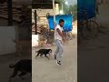 FIUDog Performs Amazing Flip🐶🤸♀️#DogFlip#DogTrick #AgilityDog #FunnyDogs #DogLovers