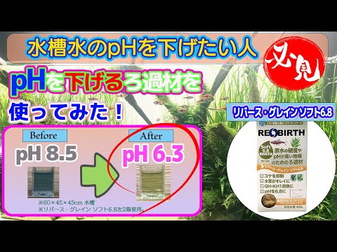 【アクアリウムのコケ対策・藻対策】pHを下げたい人は必見！pHを下げるろ過材の経過観察。pH8.5→pH6.3へと変化。水草の成長もよくなります。