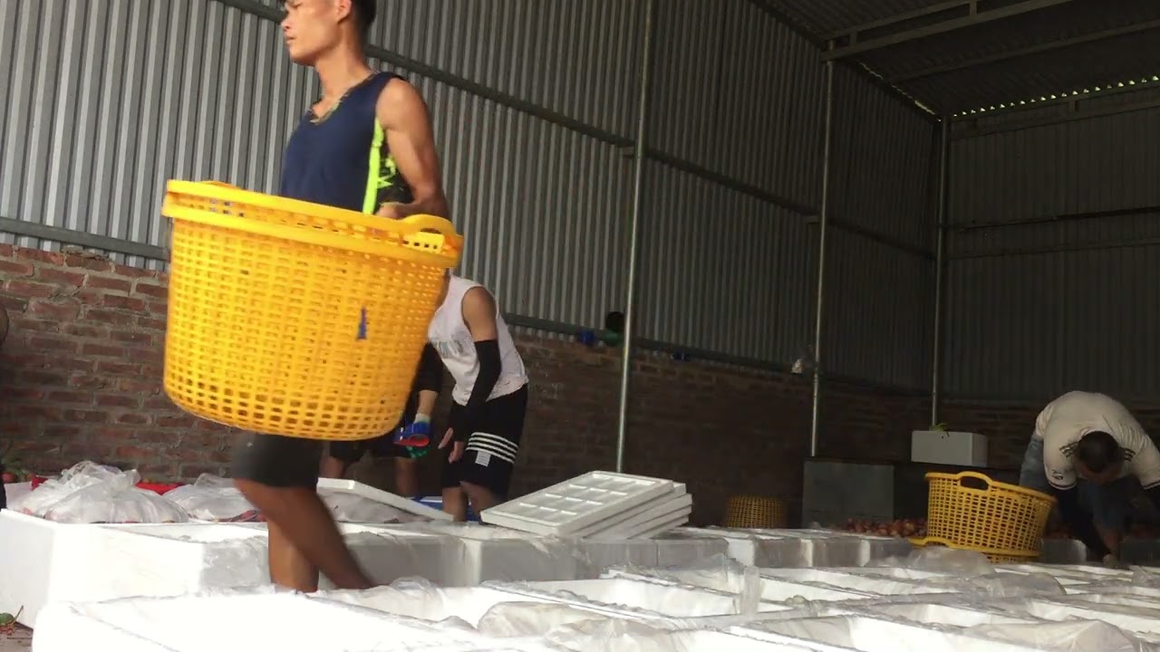 Crafting Custom Wooden Swing Sets