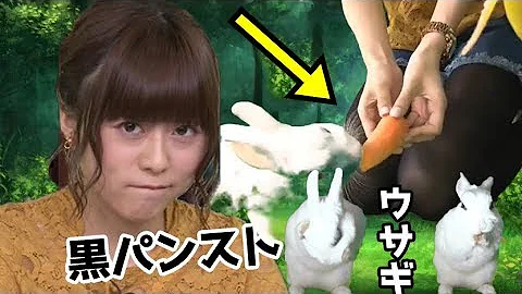 水瀬いのり 足 水瀬いのり 足