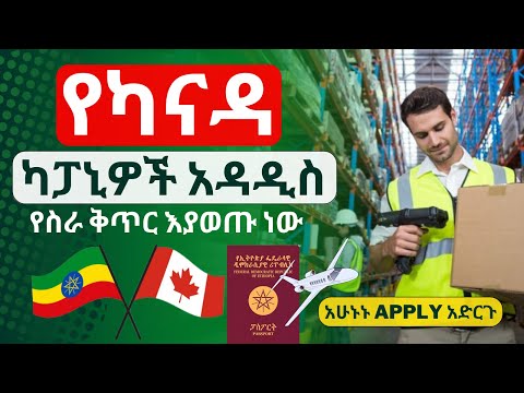 ቪዲዮ: የኮና ኢኮኮ ዲኤል የሴቶች ኢ-ቢስክሌት ግምገማ