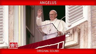 November 22 2020 Angelus prayer Pope Francis