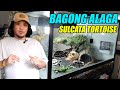Dumating Na Mga Sulcata Ko