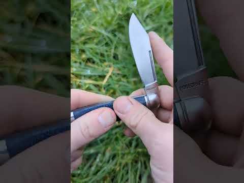 Budget Jack Knife Shocks Traditional Collectors