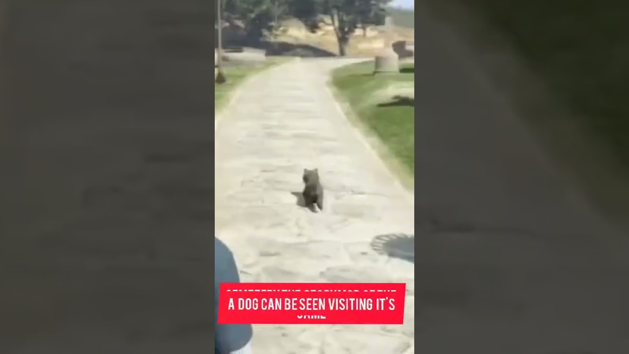 did you know in gta 5✨?  