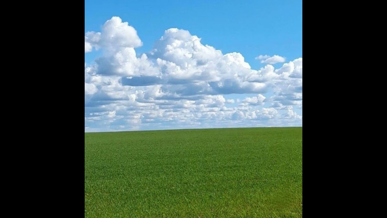 (free) dreamcore x hip hop x blazer type beat