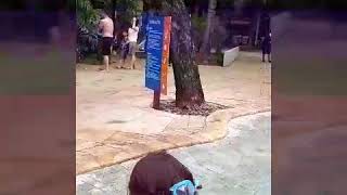 Waterboom PIK  by NADA &amp; NAILA