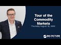 Tour of the Commodity Markets - MacroVoices #337 Postgame