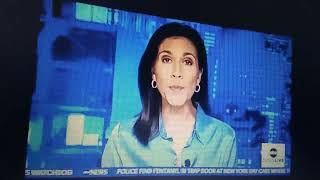 Celebrity Andrea Fujii, True Newscaster  Wealth