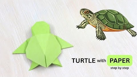 "How to Make a Paper Turtle 🐢 | Easy Origami Turtle Step by Step Tutorial"