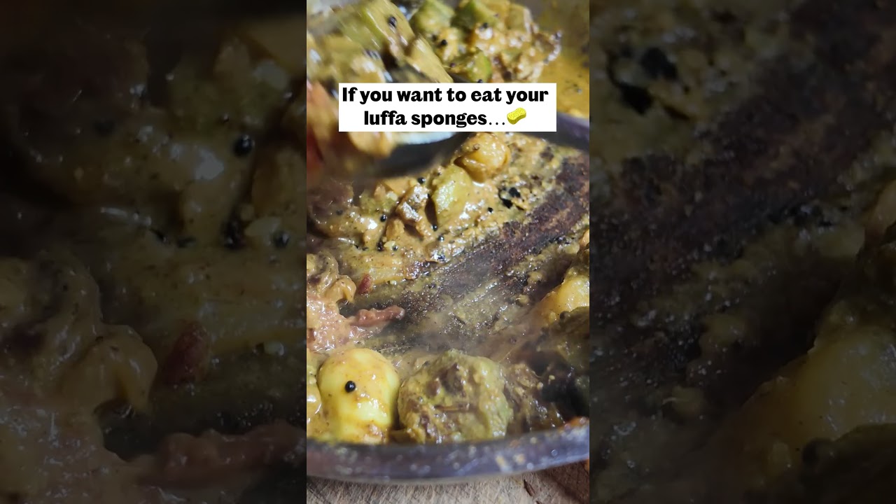 Eat your Luffa Sponge like this!