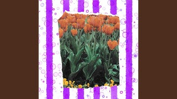 Fabulous Moods for First Horizons