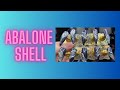 Pretty Seashell design. Step by Step beginner friendly. Transfer Foils Made Easy!