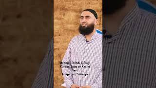 Mehmet Efendi Çiftliği Kurban Satış Ve Kesim Yeri Adapazarı Sakarya