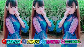 Download Lagu ေႂကြသြားမယ္ - Myanmar Music Remix Dawei Zin Phyo Dj SR အားေပးၾကပါဦး ရွင္ MP3