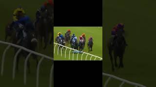 Stuck in behind but no problem for No Gain! 🐎 #horseracing #fyp #newmarket #ascot #horseracingtips