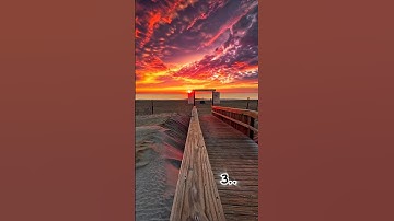 Which Path You Choose To Walk Alone?💕 #aesthetic #vibes #calm #road #newaesthetic #path #walk