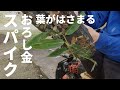 急斜面の草刈りにスパイクシューズを買いました。で実際はどうなの？