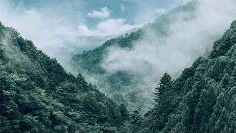 أحمد النفيس - من سورة يس