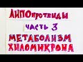 Метаболизм хиломикрона. Биохимия