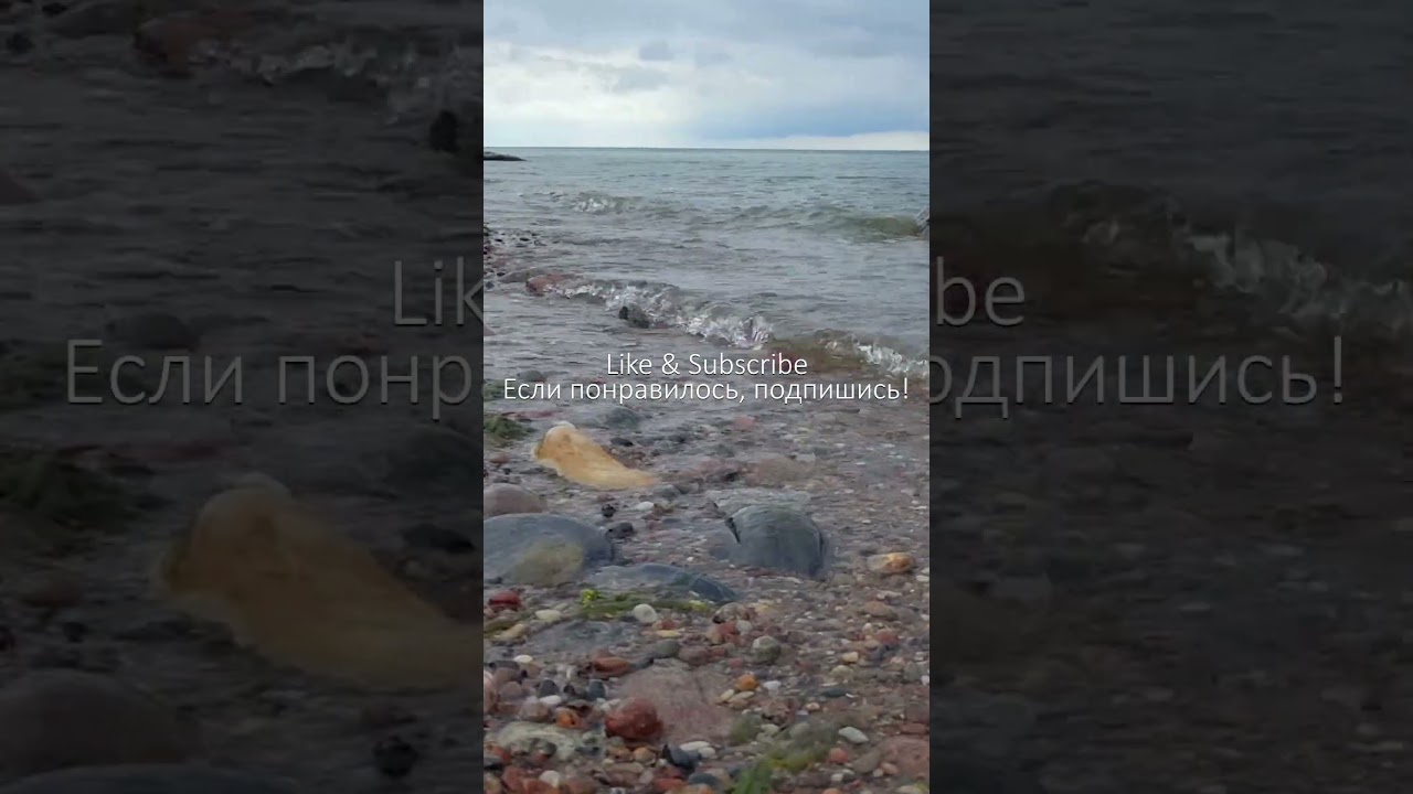 The sounds of the calm ocean waves for relax (ASMR) / Звуки волн спокойного океана для расслабления