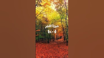 سورة الفجر (١ - ١٤) بصوت القارئ "إسلام صبحي"