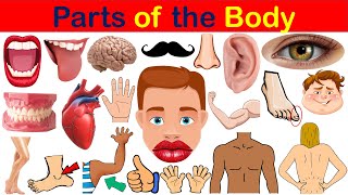 Parts of the Body | body Parts Name in English | Human Body Parts Name in English with Pictures