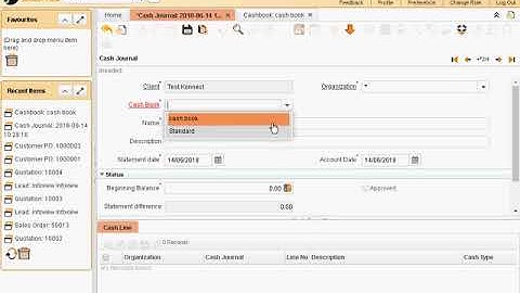 Konnect ERP   Cash Journal