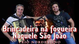 Video thumbnail of "Brincadeira na fogueira & Naquele São João -Trio Nordestino (Antônio Barros) Manoel Diógenes"