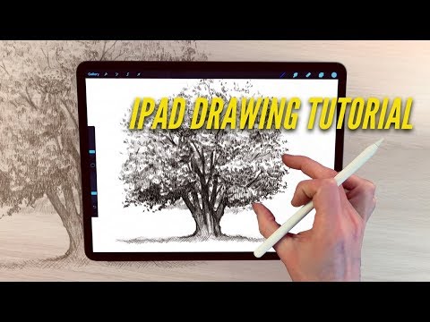 IPad Drawing tutorial - HOW TO DRAW AN OAK TREE