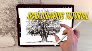 Tutorial Menggambar iPad - CARA MENGGAMBAR POHON EK screenshot 2