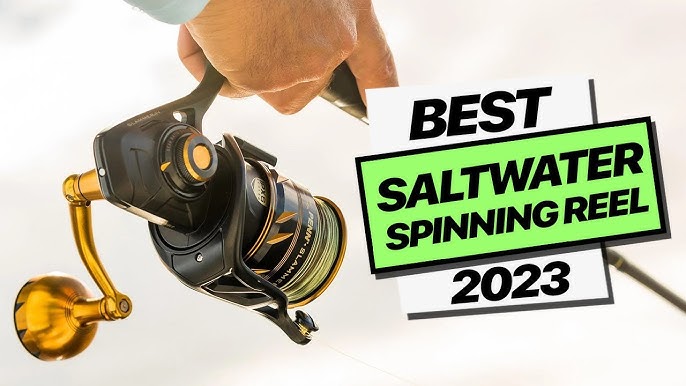 7 Best Saltwater Spinning Reels 