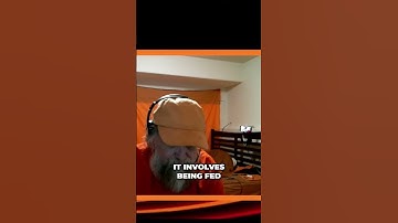 Unlocking the Power of AI: Unleash Your Creativity and Productivity