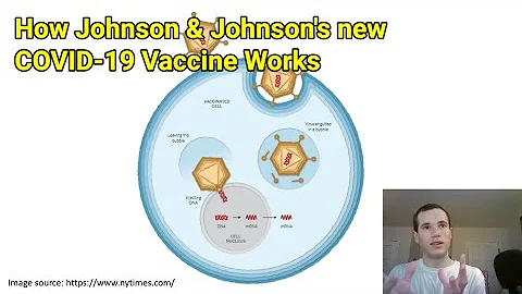 How Johnson and Johnson's New COVID-19 Vaccine Works