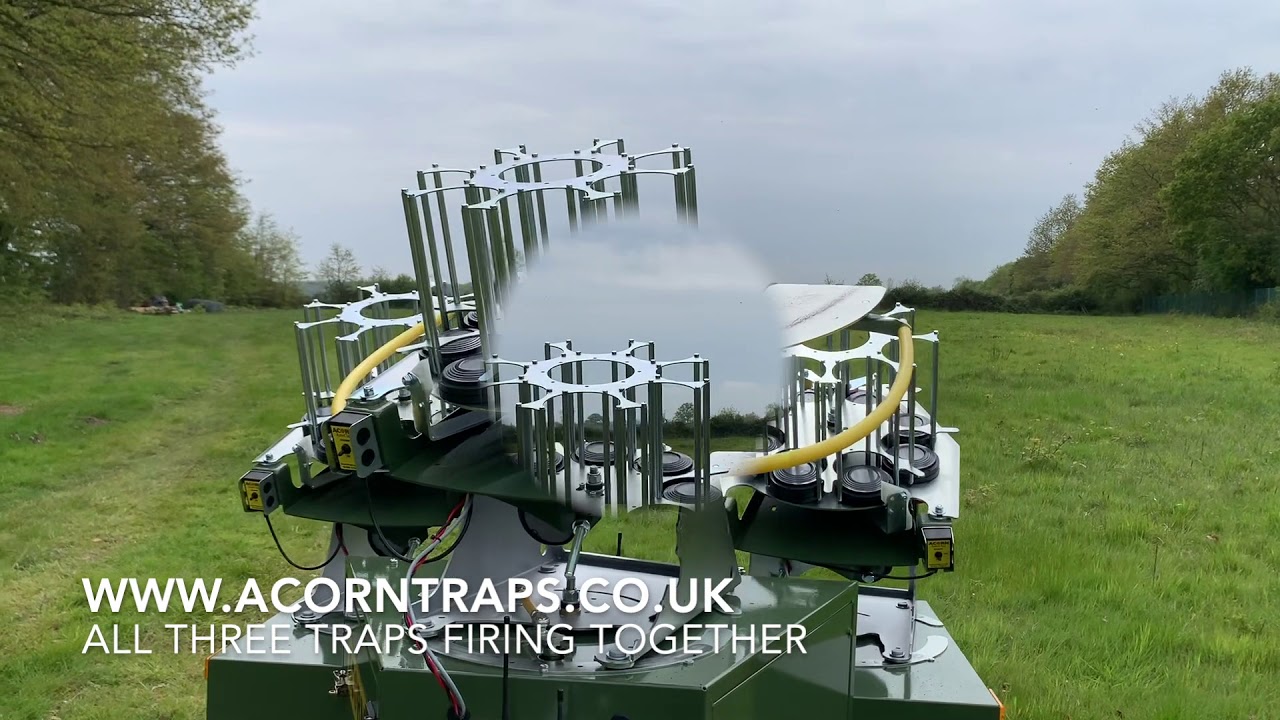 Acorn Simulated Game Trailer on test YouTube