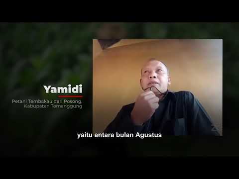 Suara Petani Tembakau
