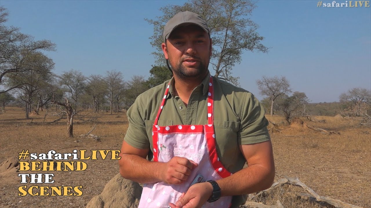 Bush breakfast fine dining!