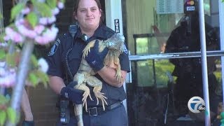All animals removed at Warren pet store