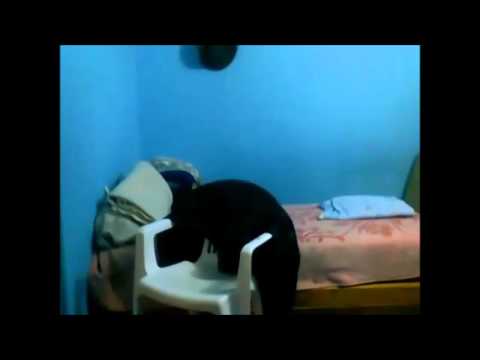 Cojiendo con mi vecina - YouTube