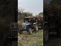 Divana Bana Rakha Hai ..!!♥️😍#shorts #shortvideo #shortsfeed #sehar #minivlog #khetibadi #2026