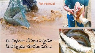In High flow water amazing easy catches Big Wallago cat fishes || rohu fishes and Carp fishes